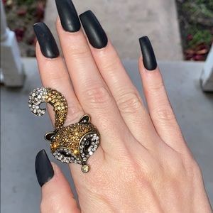 Raccoon ring